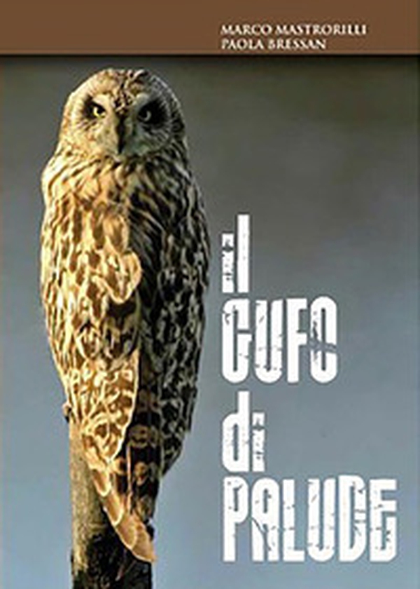 Il gufo di palude - Librerie.coop Il gufo di palude - Librerie.coop