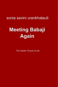 Meeting Babaji Again - Librerie.coop