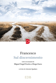 Sul discernimento - Librerie.coop Sul discernimento - Librerie.coop