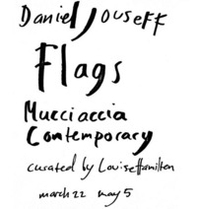 Flag. Mucciaccia contemporary. Ediz. italiana e inglese - Librerie.coop
