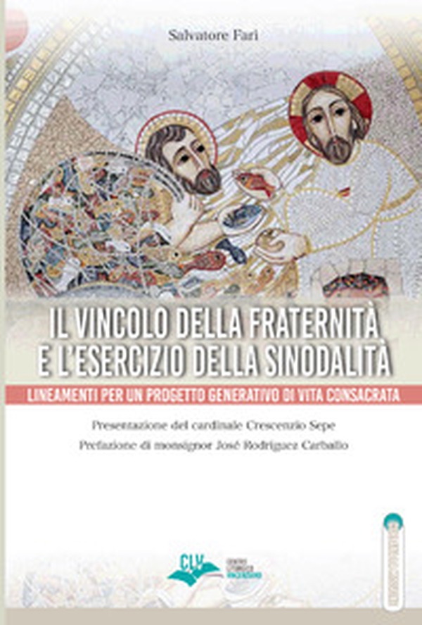 Il vincolo della fraternità e l'esercizio della sinodalità. Lineamenti per un progetto generativo di vita consacrata - Librerie.coop Il vincolo della fraternità e l'esercizio della sinodalità. Lineamenti per un progetto generativo di vita consacrata - Librerie.coop