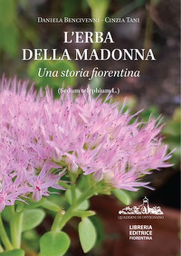 L'erba della Madonna. Una storia fiorentina. (Sedum Telephium L.) - Librerie.coop