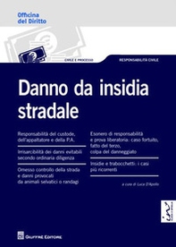 Danno da insidia stradale - Librerie.coop