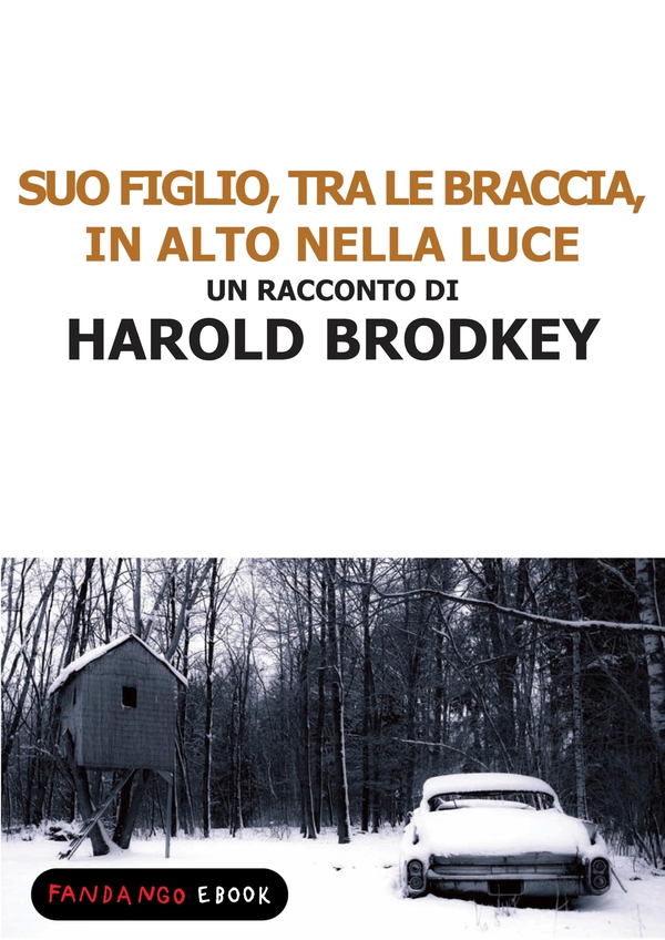 Suo figlio, tra le braccia, in alto nella luce - Librerie.coop
