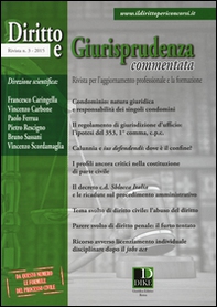 Diritto e giurisprudenza commentata - Vol. 3 - Librerie.coop