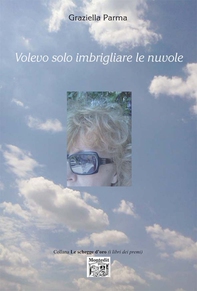 Volevo solo imbrigliare le nuvole - Librerie.coop