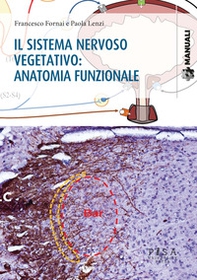 Il sistema nervoso vegetativo: anatomia funzionale - Librerie.coop Il sistema nervoso vegetativo: anatomia funzionale - Librerie.coop
