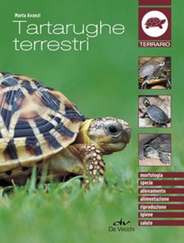 Tartarughe terrestri - Librerie.coop Tartarughe terrestri - Librerie.coop