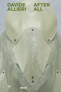 Davide Allieri. After all. Ediz. italiana e inglese - Librerie.coop