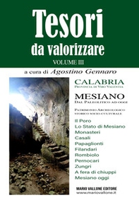 Tesori da valorizzare. Calabria, provincia di Vibo Valentia - Vol. 3 - Librerie.coop