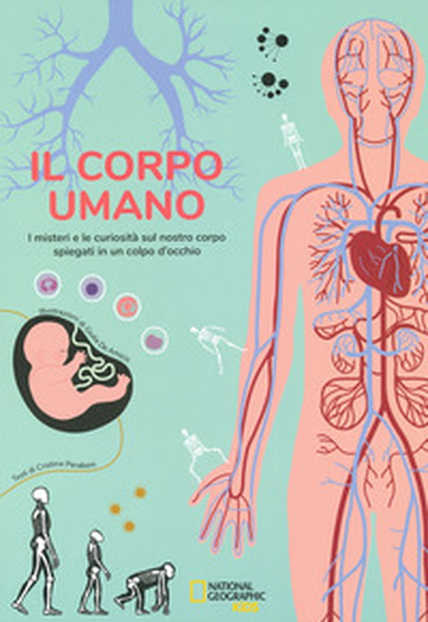 Il corpo umano. I misteri e le curiosità sul nostro corpo spiegati in un colpo d'occhio - Librerie.coop Il corpo umano. I misteri e le curiosità sul nostro corpo spiegati in un colpo d'occhio - Librerie.coop