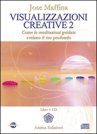 Visualizzazioni creative - Vol. 2 - Librerie.coop
