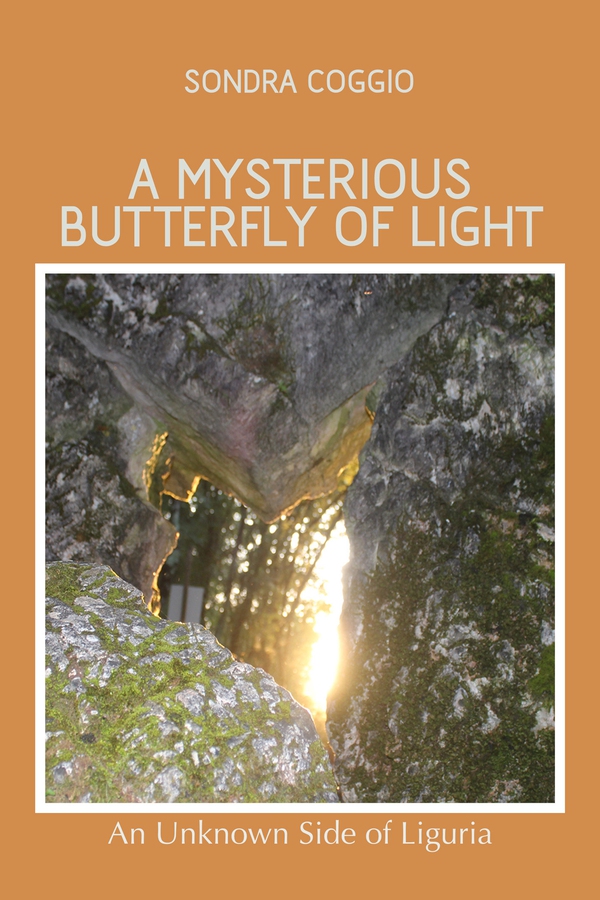 A mysterious butterfly of light - Librerie.coop A mysterious butterfly of light - Librerie.coop