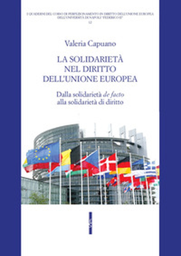 La solidarietà nel diritto dell'Unione Europea. Dalla solidarietà «de facto» alla solidarietà di diritto - Librerie.coop La solidarietà nel diritto dell'Unione Europea. Dalla solidarietà «de facto» alla solidarietà di diritto - Librerie.coop