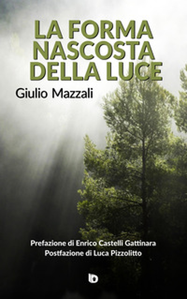 La forma nascosta della luce - Librerie.coop La forma nascosta della luce - Librerie.coop