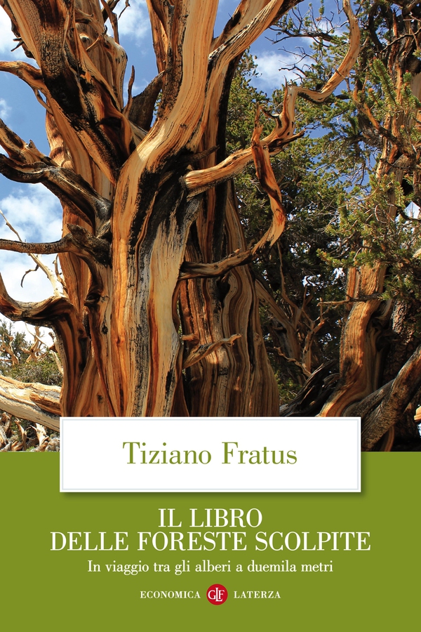Il libro delle foreste scolpite - Librerie.coop Il libro delle foreste scolpite - Librerie.coop