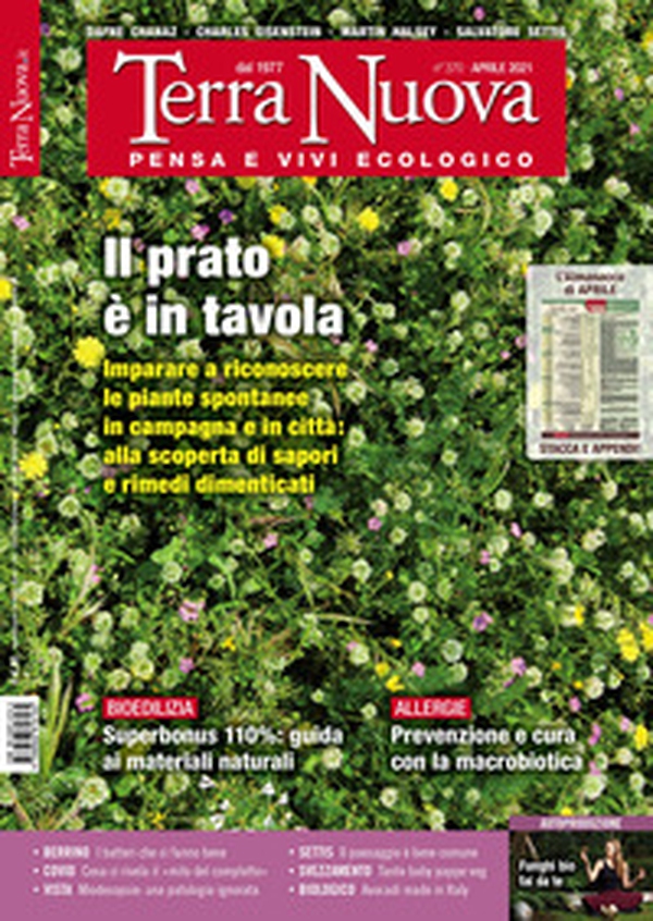 Terra nuova - Librerie.coop Terra nuova - Librerie.coop