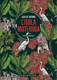 L'isola misteriosa - Librerie.coop