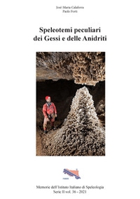 Speleotemi peculiari dei Gessi e delle Anidriti. Il punto sulle concrezioni e mineralizzazioni delle grotte in gesso e anidrite, rarità e peculiarità ad oggi poco conosciute - Librerie.coop