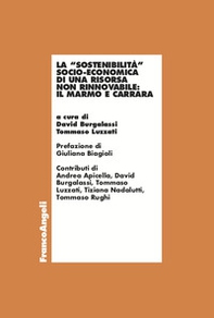 La «sostenibilità» socio-economica di una risorsa non rinnovabile: il marmo e Carrara - Librerie.coop