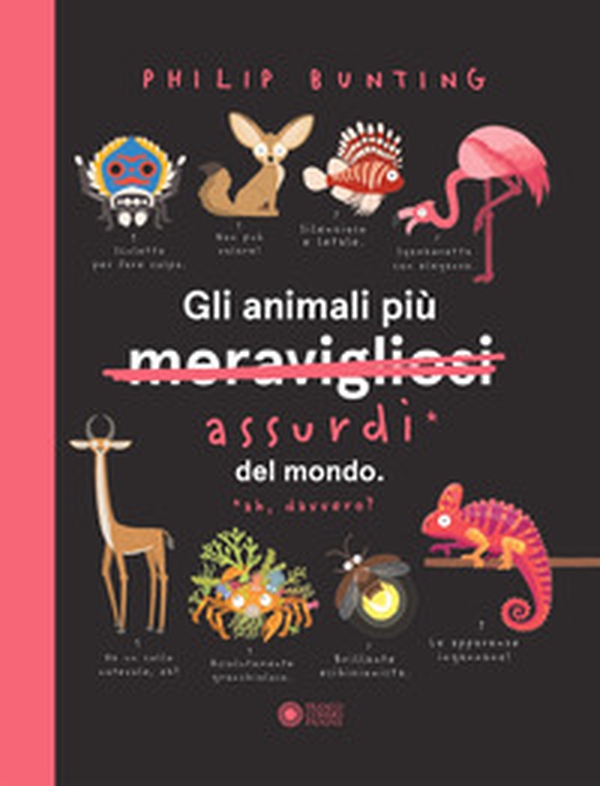 Gli animali più assurdi del mondo - Librerie.coop Gli animali più assurdi del mondo - Librerie.coop