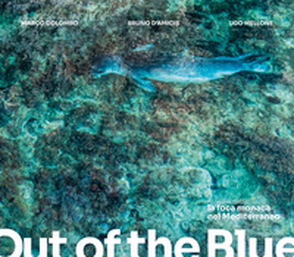 Out of the blue. La foca monaca nel Mediterraneo. Ediz. italiana e inglese - Librerie.coop Out of the blue. La foca monaca nel Mediterraneo. Ediz. italiana e inglese - Librerie.coop