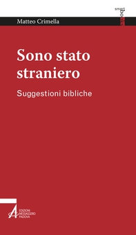 Sono stato straniero - Librerie.coop