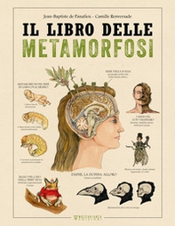 Il libro delle metamorfosi - Librerie.coop