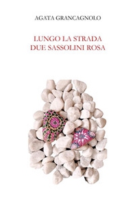 Lungo la strada due sassolini rosa - Librerie.coop
