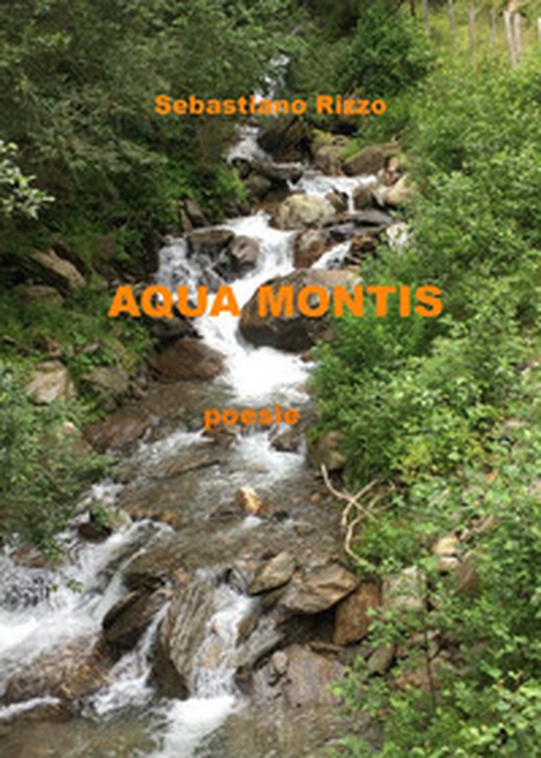 Aqua montis - Librerie.coop Aqua montis - Librerie.coop