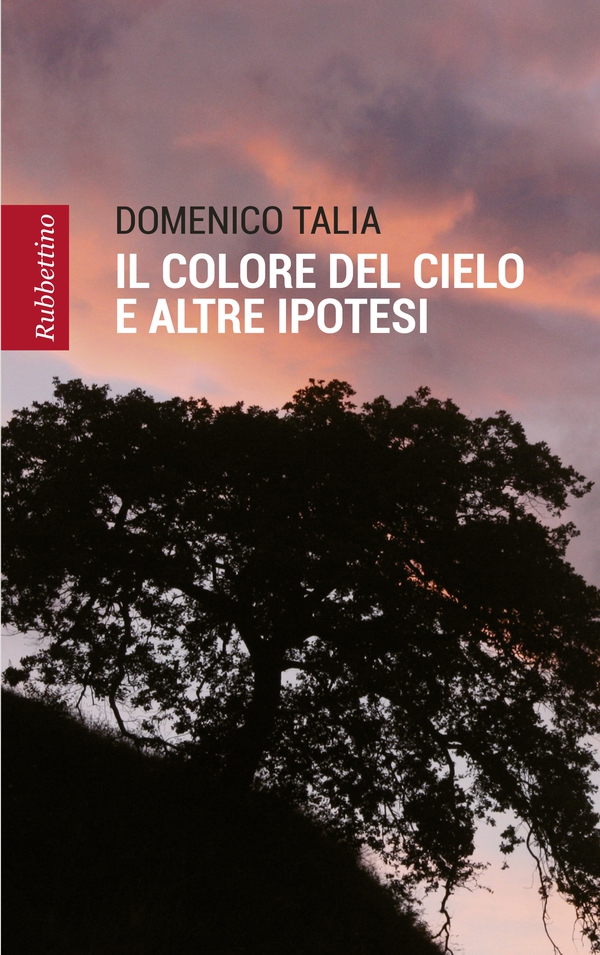 Il colore del cielo e altre ipotesi - Librerie.coop Il colore del cielo e altre ipotesi - Librerie.coop