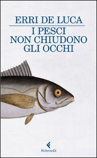 I pesci non chiudono gli occhi - Librerie.coop I pesci non chiudono gli occhi - Librerie.coop