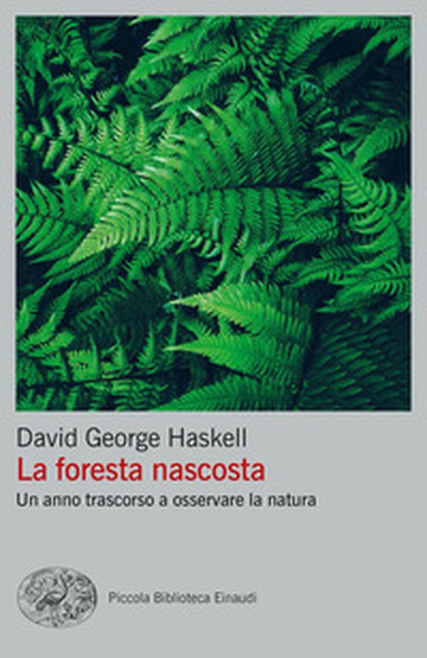 La foresta nascosta. Un anno trascorso a osservare la natura - Librerie.coop La foresta nascosta. Un anno trascorso a osservare la natura - Librerie.coop