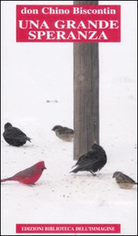 Una grande speranza - Librerie.coop