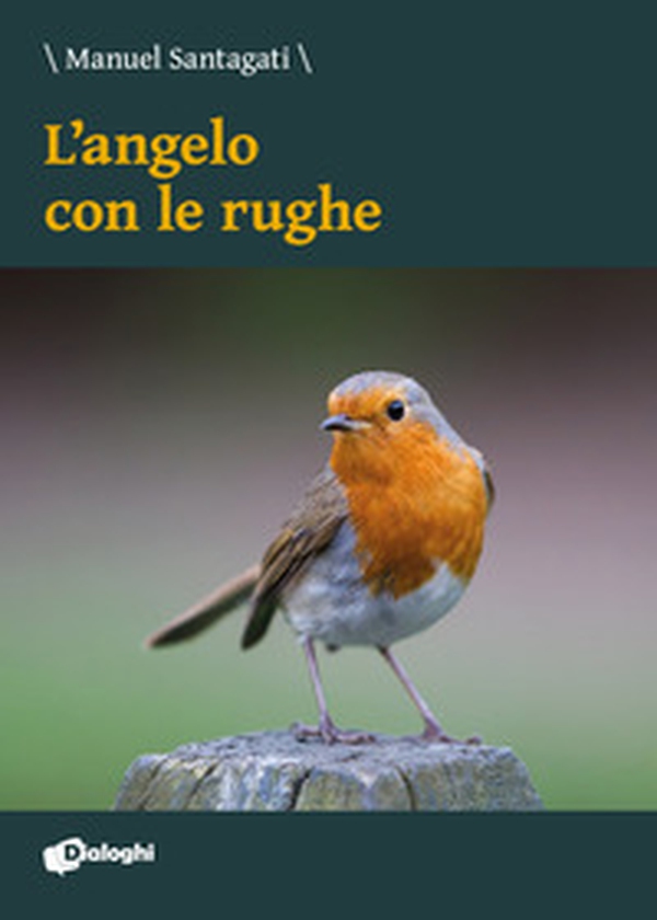 L'angelo con le rughe - Librerie.coop L'angelo con le rughe - Librerie.coop