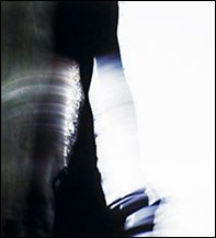 La certezza dell'ombra. Un progetto di Kali Jones e Maurizio Ruggiano - Librerie.coop