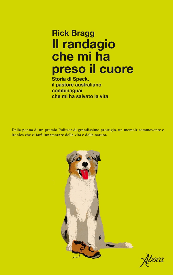 Il randagio che mi ha preso il cuore - Librerie.coop Il randagio che mi ha preso il cuore - Librerie.coop