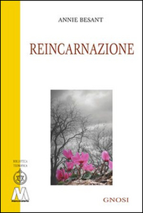 Reincarnazione - Librerie.coop Reincarnazione - Librerie.coop