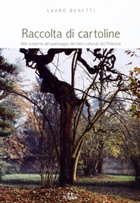 Raccolta di cartoline. Alla scoperta del paesaggio dei beni culturali del Polesine - Librerie.coop
