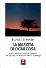 La nascita di ogni cosa. Come l'universo è diventato complesso. Dal Big Bang allo spirito dell'uomo in 28 passaggi - Librerie.coop