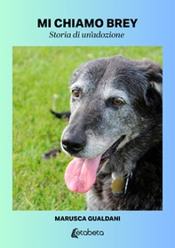 Mi chiamo Brey. Storia di un'adozione - Librerie.coop