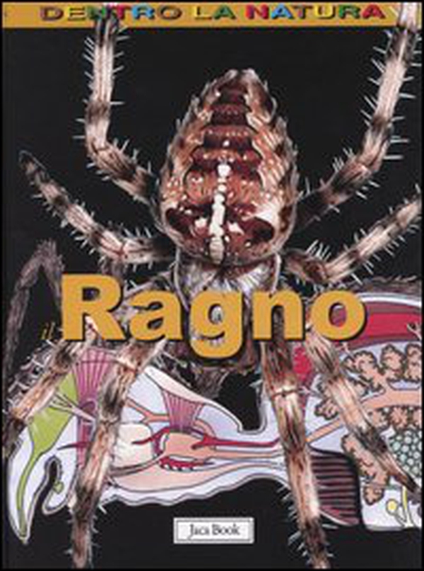 Il ragno - Librerie.coop Il ragno - Librerie.coop