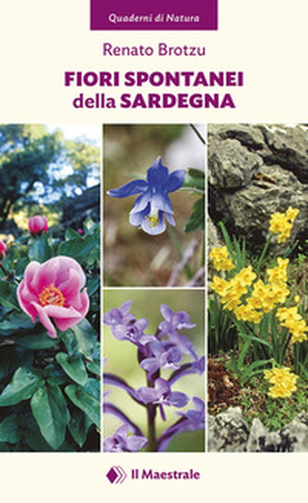 Fiori spontanei della Sardegna - Librerie.coop Fiori spontanei della Sardegna - Librerie.coop