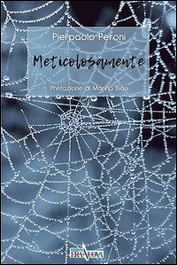 Meticolosamente - Librerie.coop Meticolosamente - Librerie.coop