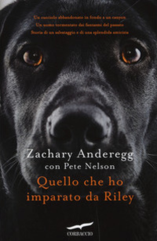 Quello che ho imparato da Riley - Librerie.coop Quello che ho imparato da Riley - Librerie.coop
