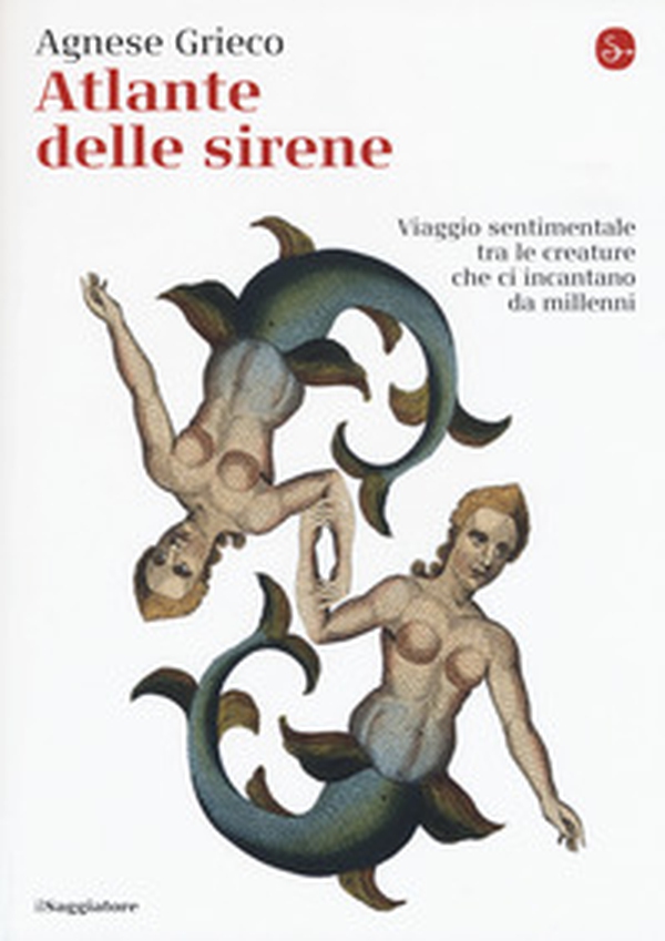 Atlante delle sirene. Viaggio sentimentale tra le creature che ci incantano da millenni - Librerie.coop Atlante delle sirene. Viaggio sentimentale tra le creature che ci incantano da millenni - Librerie.coop