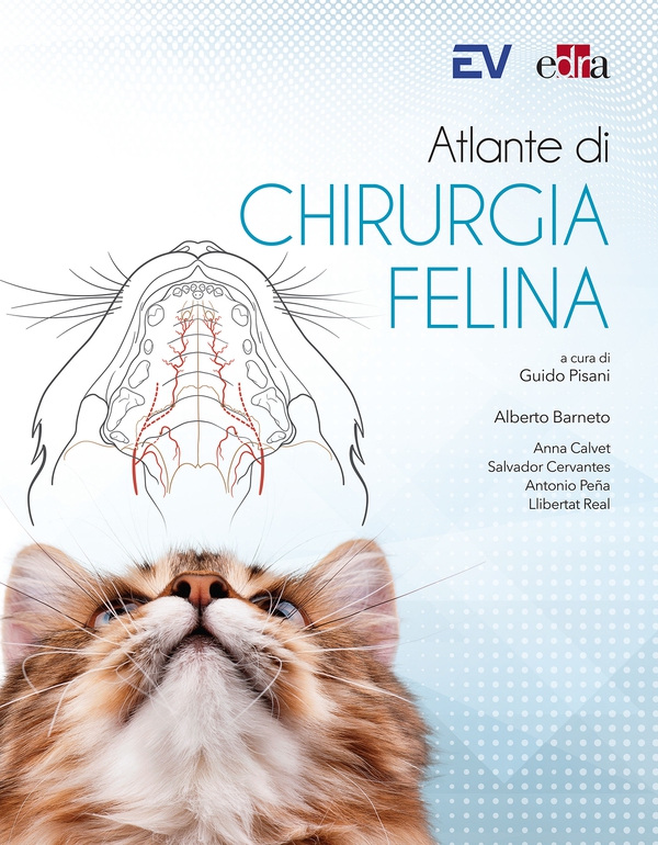 Atlante di chirurgia felina - Librerie.coop Atlante di chirurgia felina - Librerie.coop