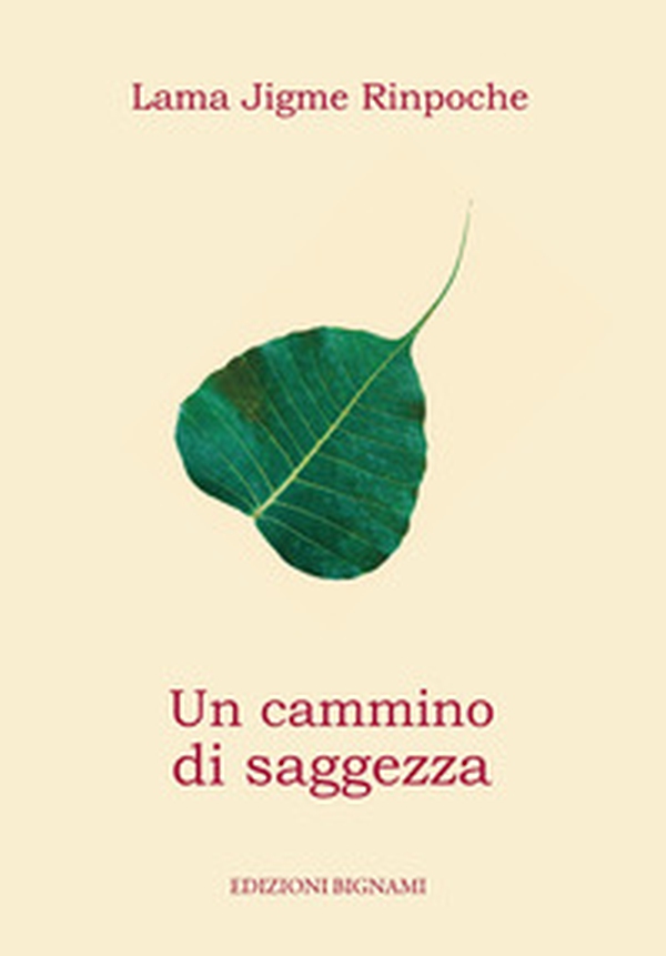 Un cammino di saggezza - Librerie.coop