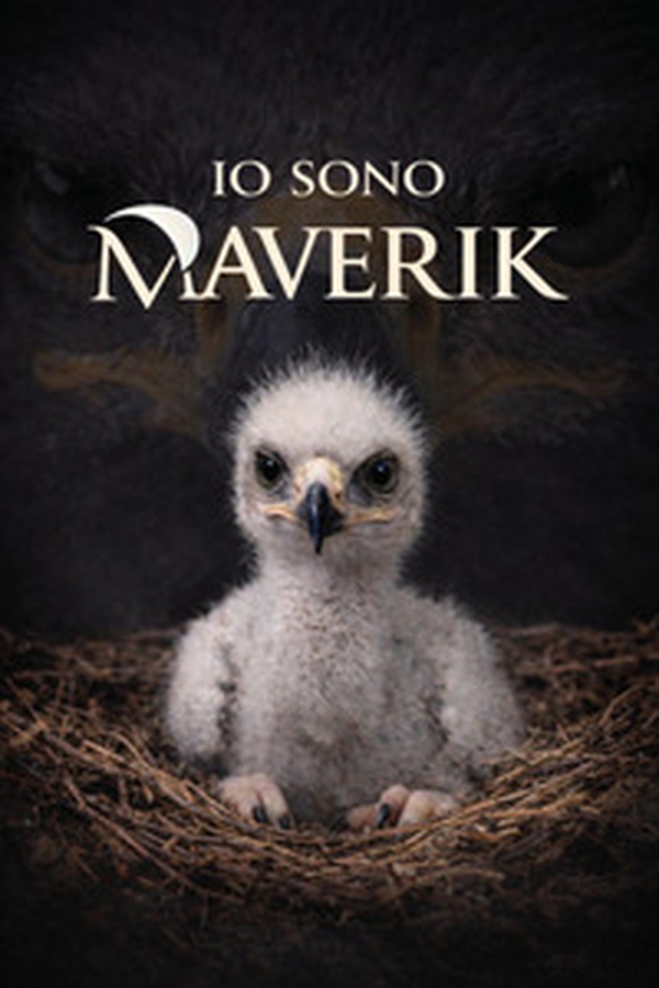 Io sono Maverik - Librerie.coop