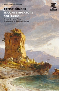 Il contemplatore solitario - Librerie.coop
